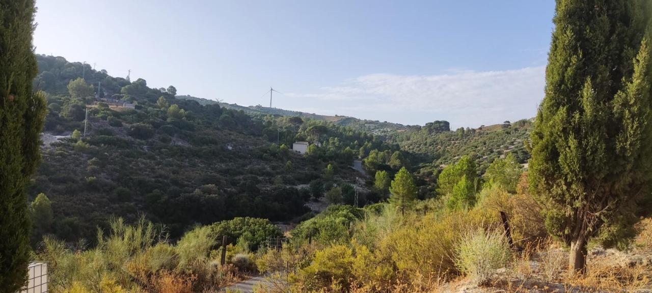 Casas Rurales Las Vinas Осуна Екстер'єр фото
